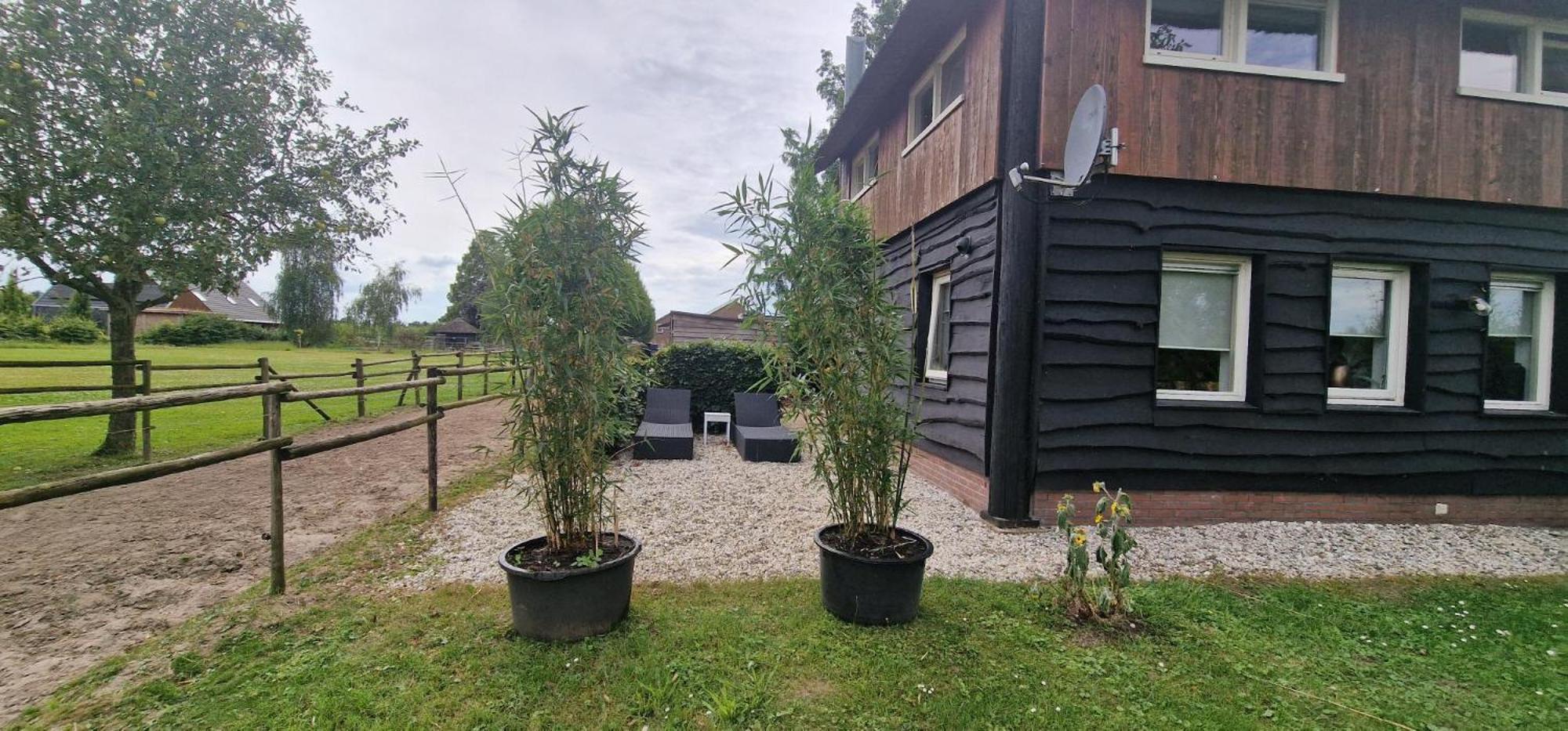 Bed and Breakfast De Hooiberg Elst  Exterior foto